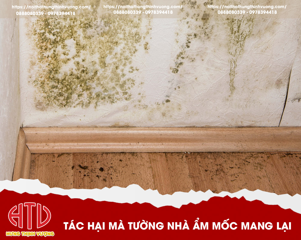 NHỮNG CÁCH XỬ LÝ TƯỜNG ẨM MỐC TRONG THỰC TẾ? CÁCH NÀO HIỆU QUẢ NHẤT?